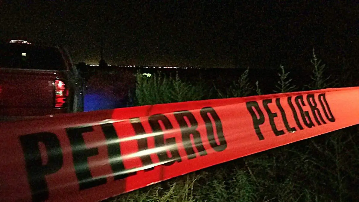 WhatsApp Image 2023-07-26 at 09.45.00