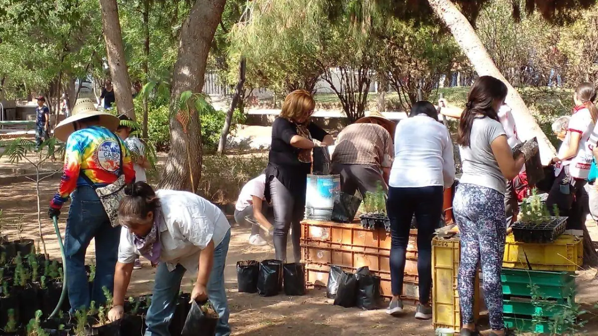 WhatsApp Image 2023-06-17 at 14.01.28 (1)