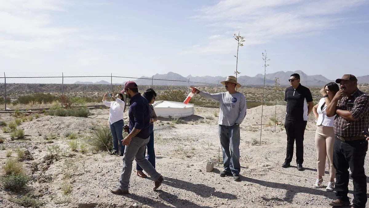  Universidad Tecnológica Paso del Norte