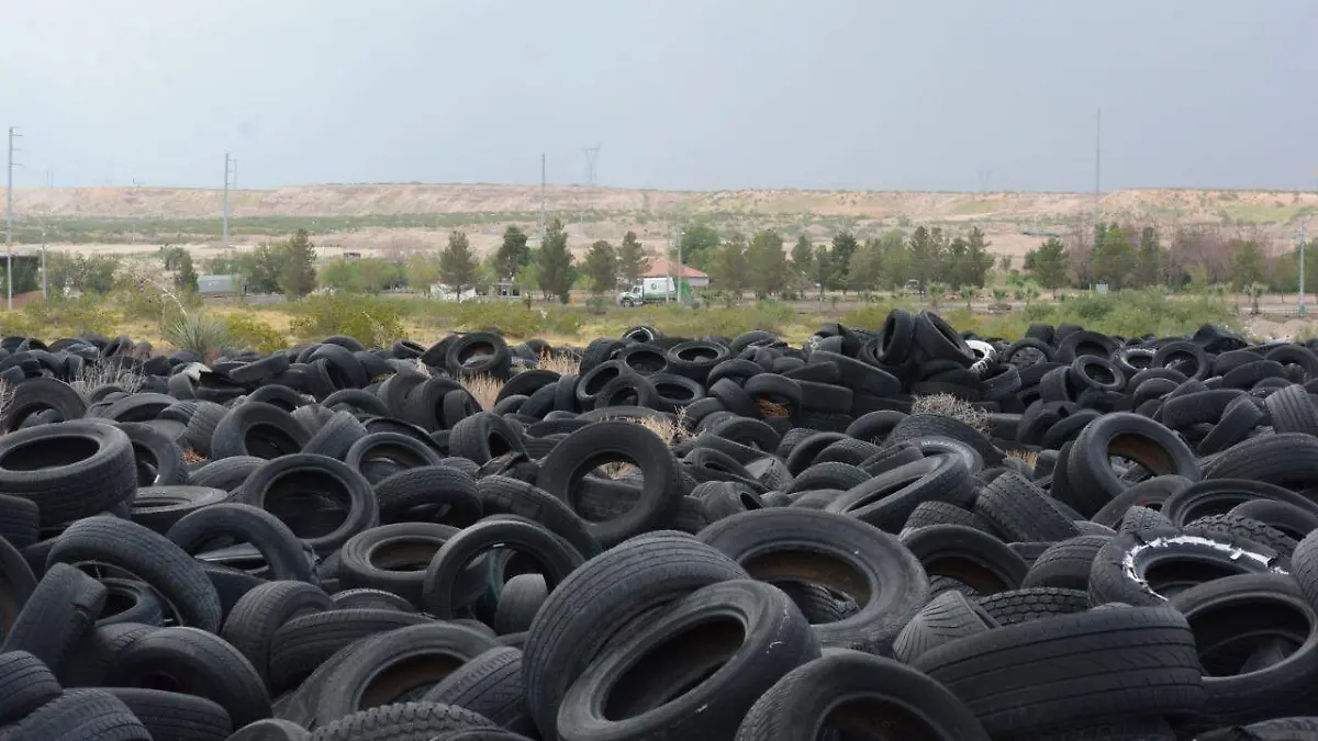 e5acf3b1-aaac-4c43-8fb2-f06f76c39b83