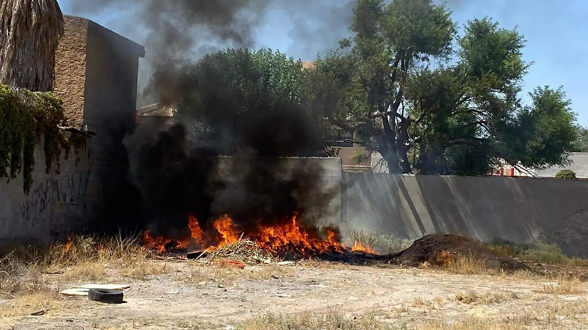 e5c8d535-d766-48f3-bf72-432510c2a6ca