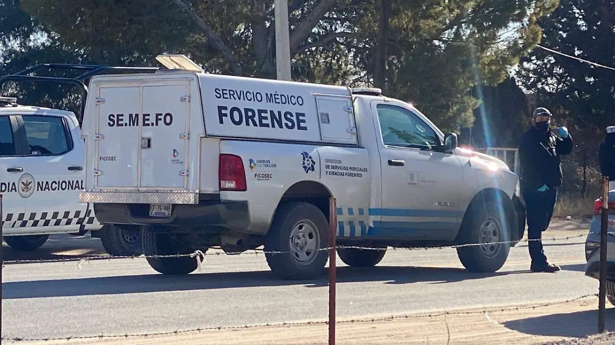 Forense