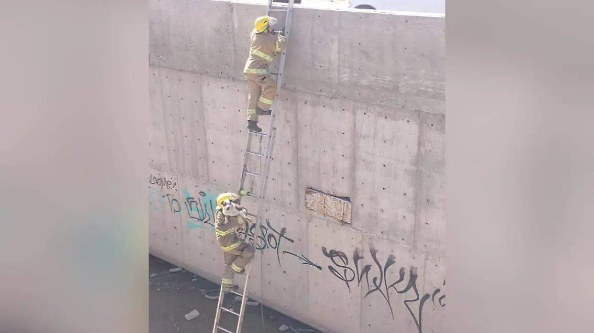Bomberos