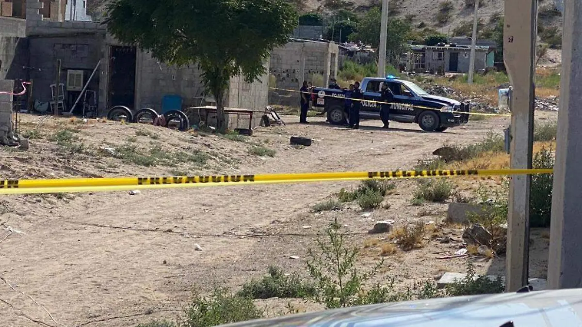 WhatsApp Image 2022-08-06 at 10.18.16 AM