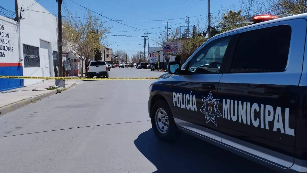 WhatsApp Image 2023-06-12 at 10.27.19