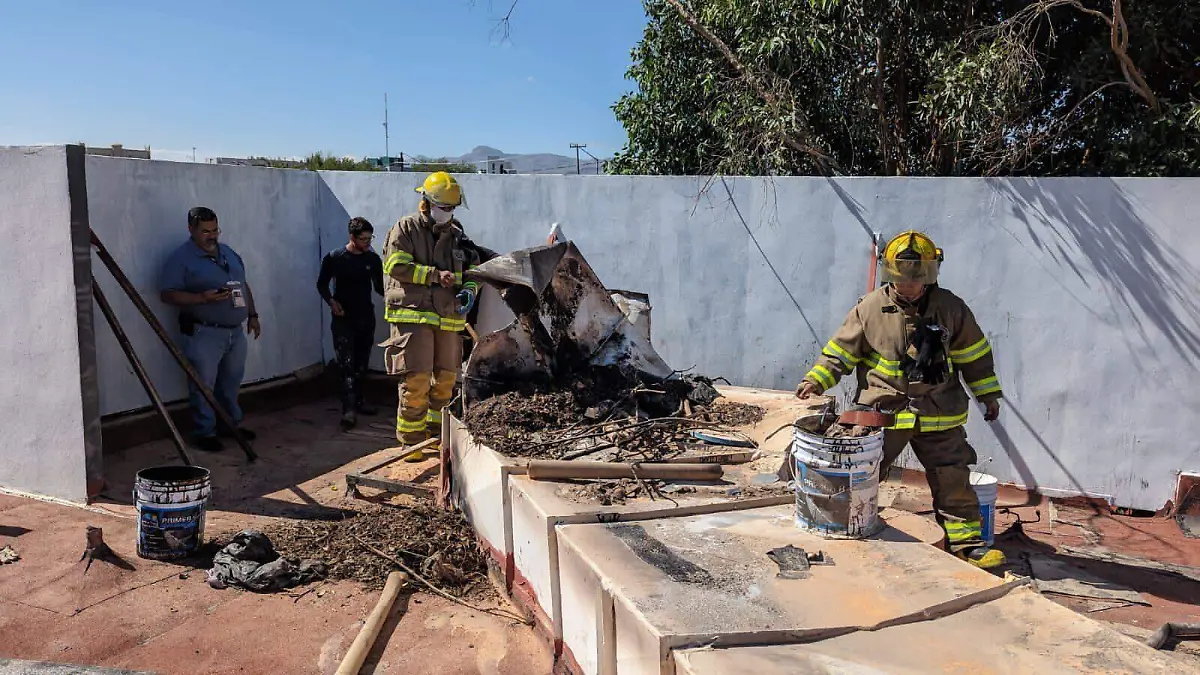 WhatsApp Image 2023-10-07 at 14.28.14