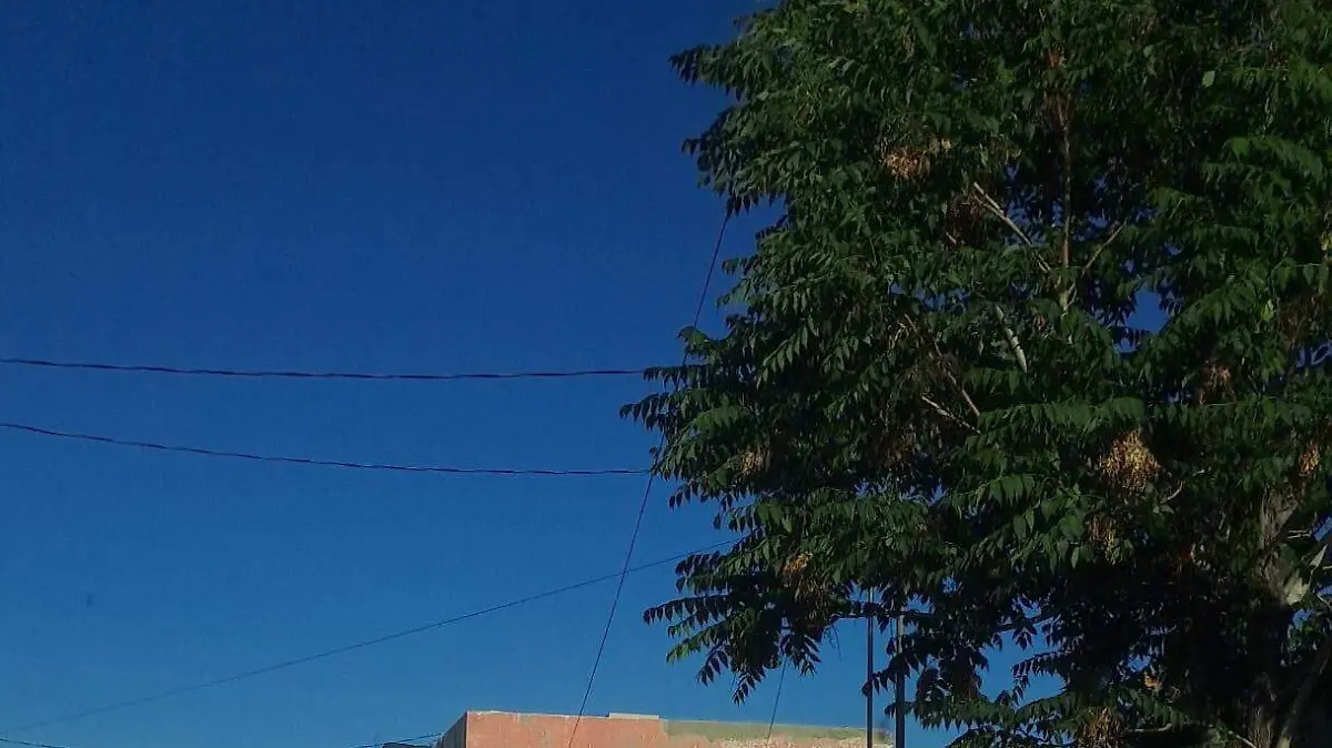 WhatsApp Image 2023-04-20 at 8.04.26 AM