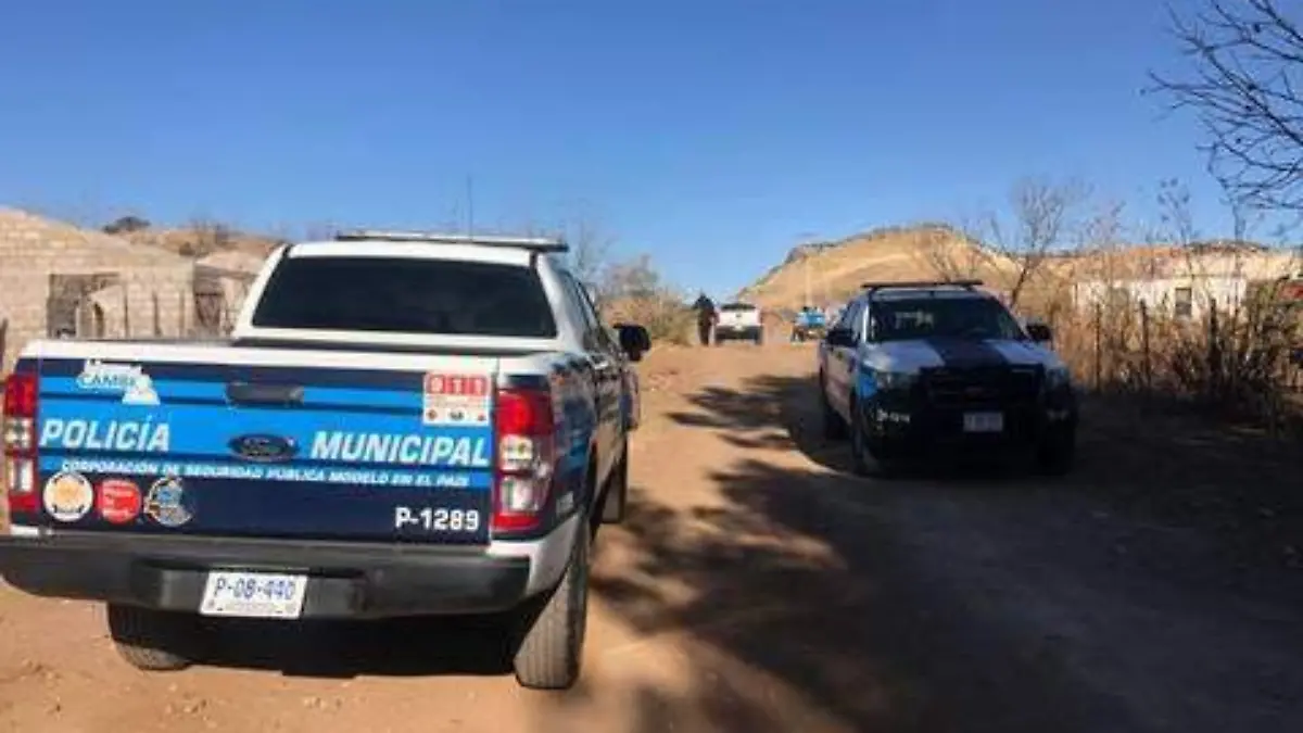 muertos en carretera a juárez