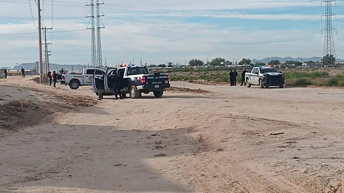 Asesinan a 4 en la colonia Terranova 1