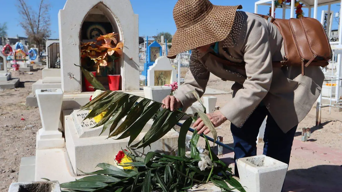 WhatsApp Image 2023-11-01 at 13.32.53