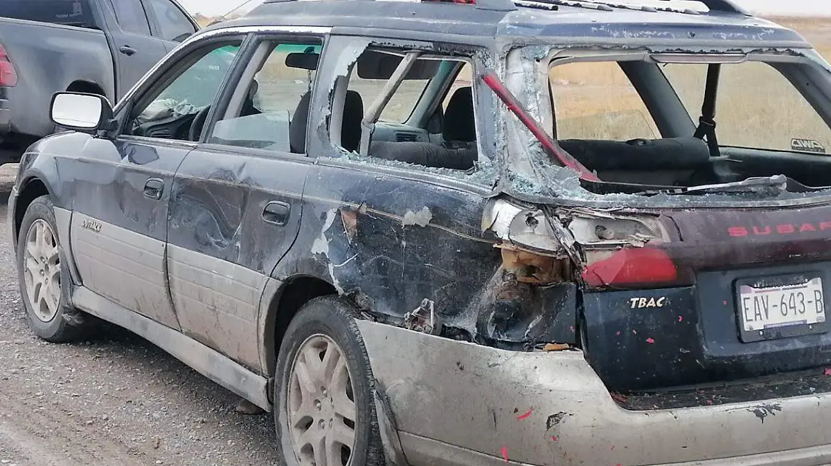 WhatsApp Image 2023-08-23 at 11.15.07