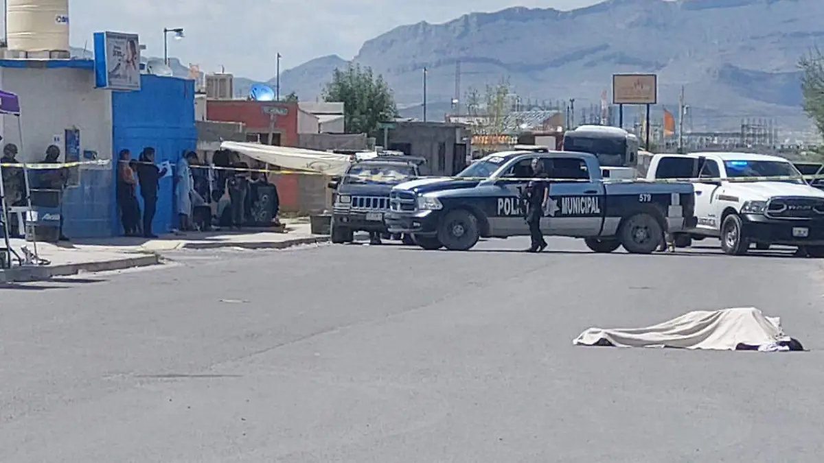 WhatsApp Image 2022-08-27 at 3.00.50 PM