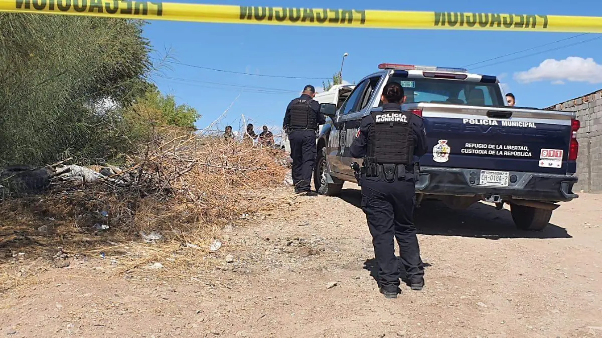 asesinato