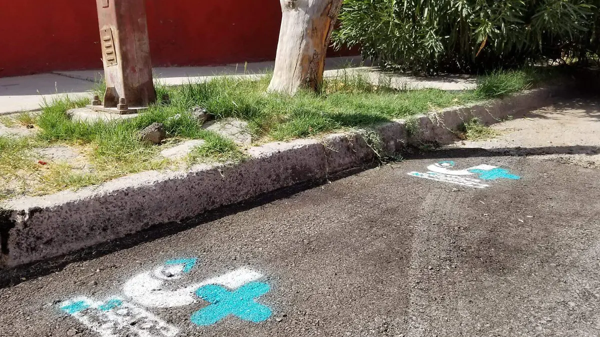 WhatsApp Image 2023-08-01 at 10.55.32 (2)