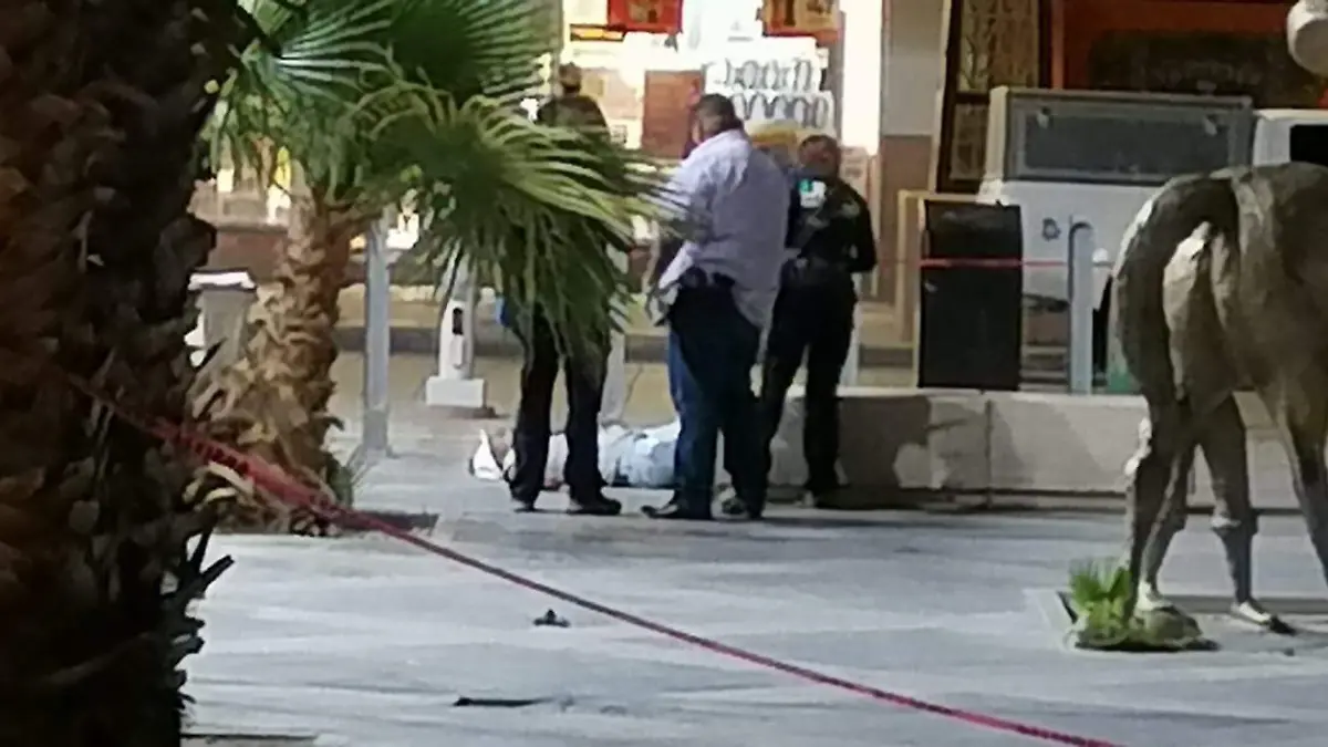 d6ed3b45-a0d6-4da9-9d43-337e1d607e7f