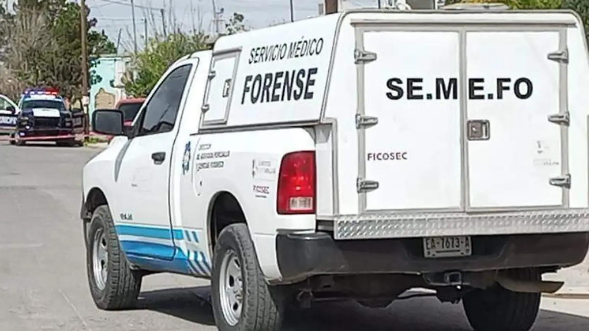 semefo