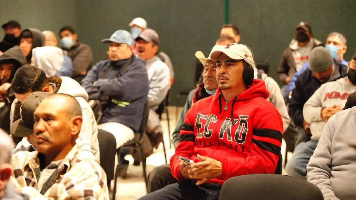 taller poda de arboles 3