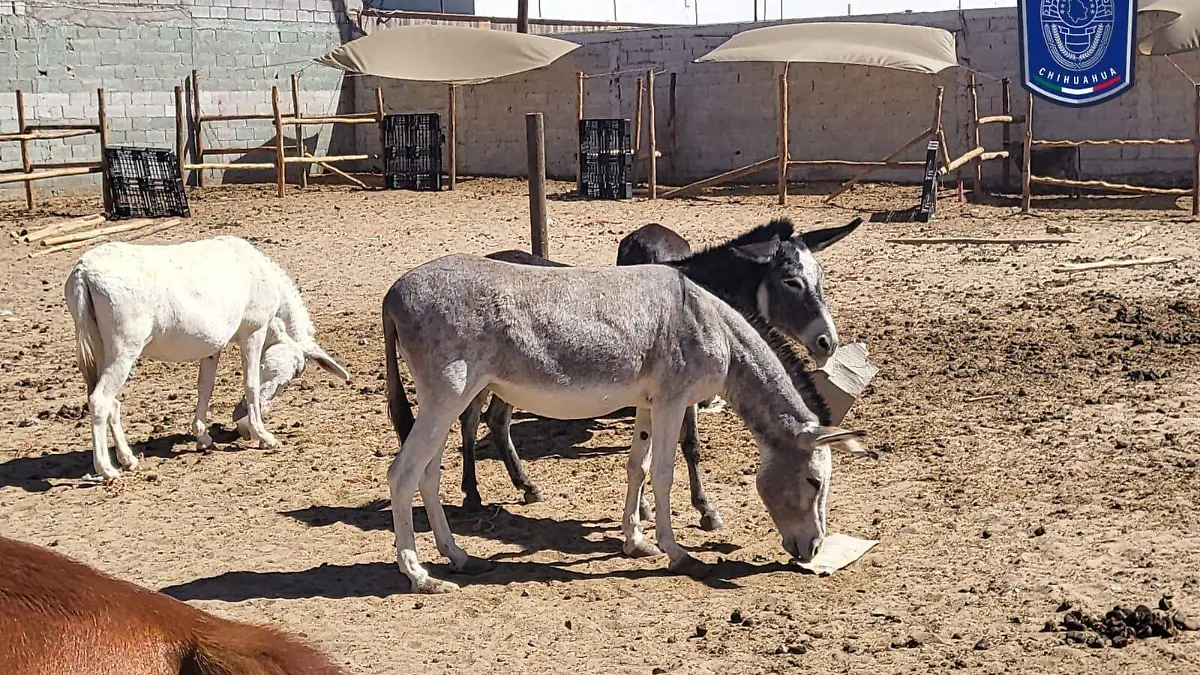 e52c3d01-a81a-4879-8850-288ecc6db1cc