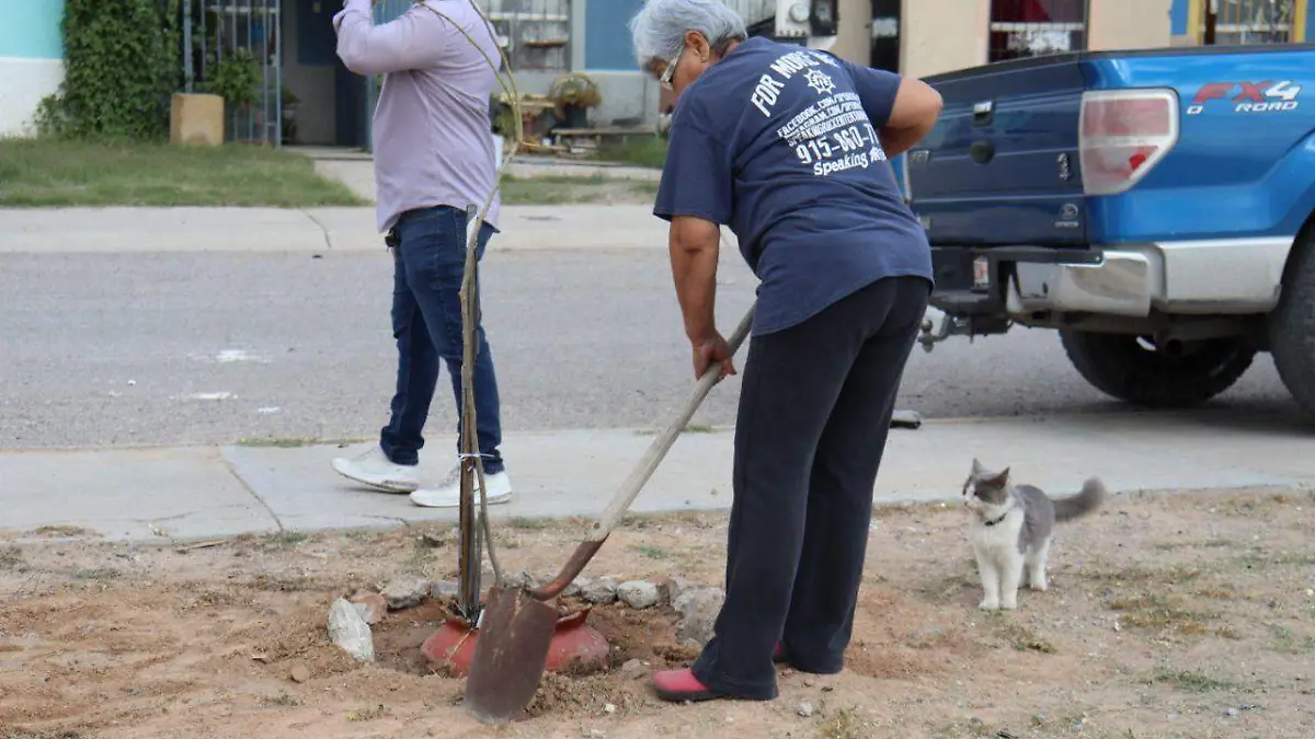 rehabilitan parque 4
