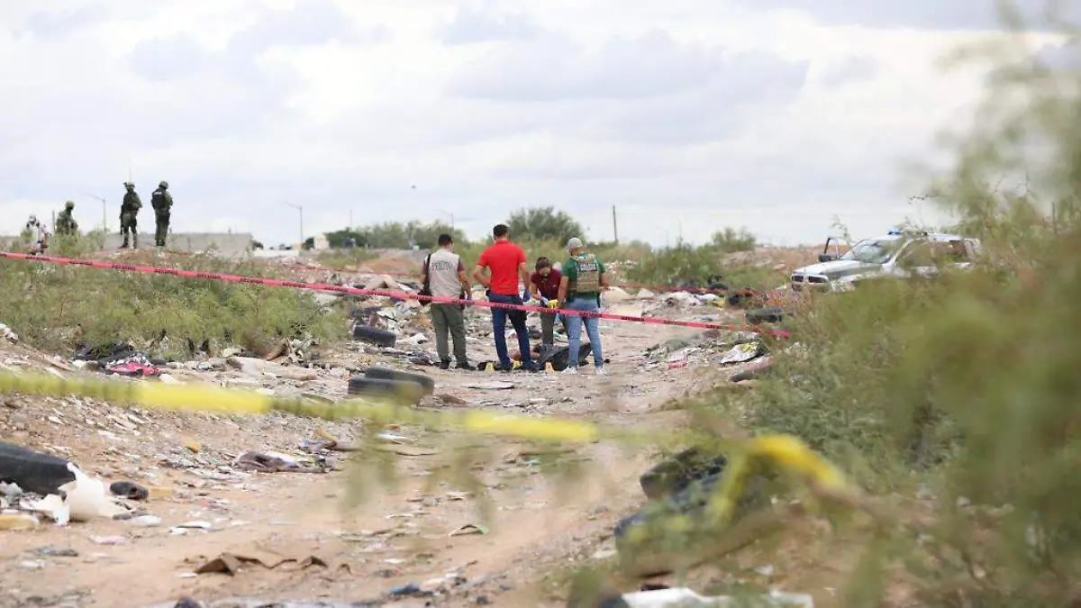 f7ea8713-3ba9-4e67-a1cc-f046e2e0f6ea