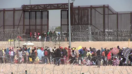 migrantes