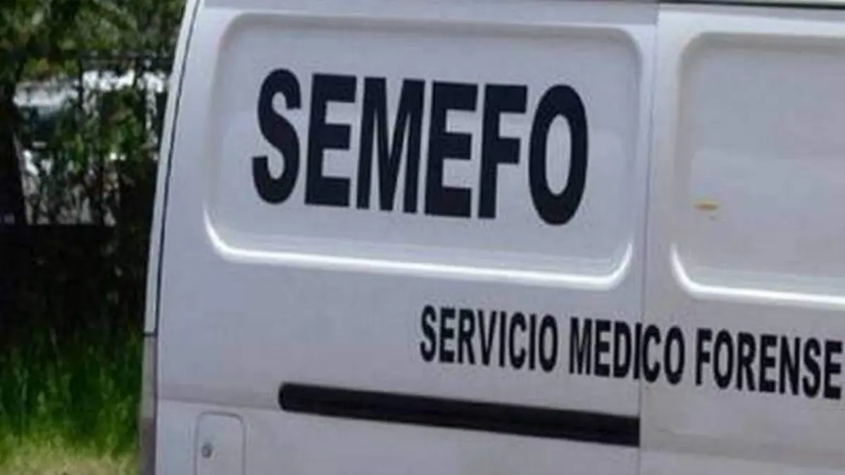 semefo