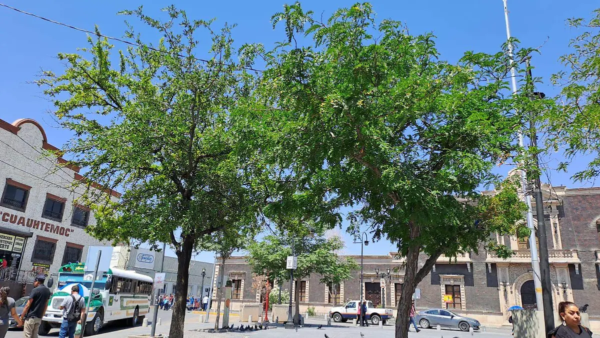 WhatsApp Image 2023-07-10 at 06.59.25