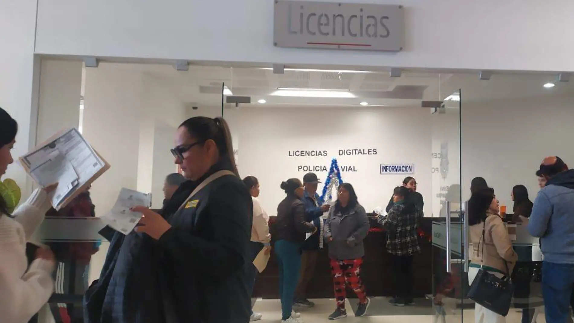 LICENCIAS