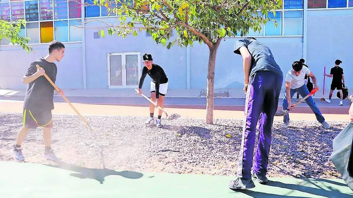 jovenes