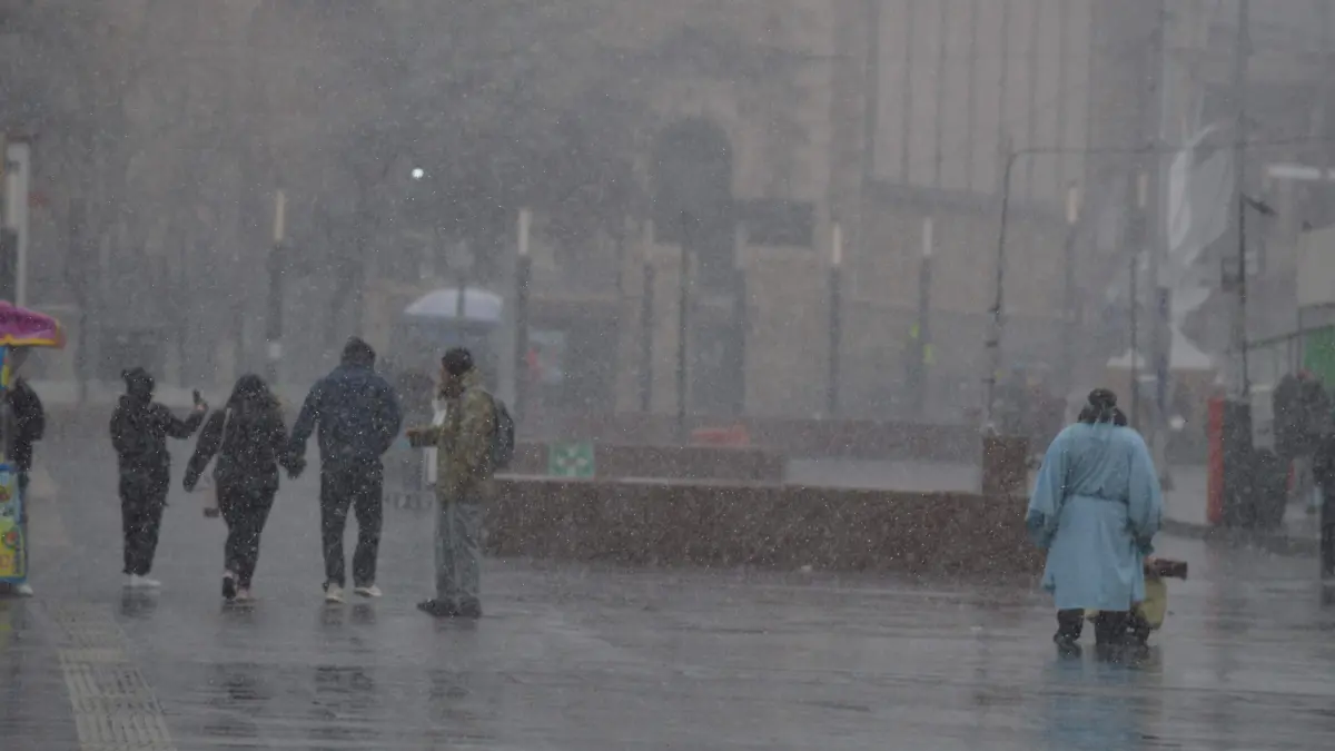 Nevada centro Juárez