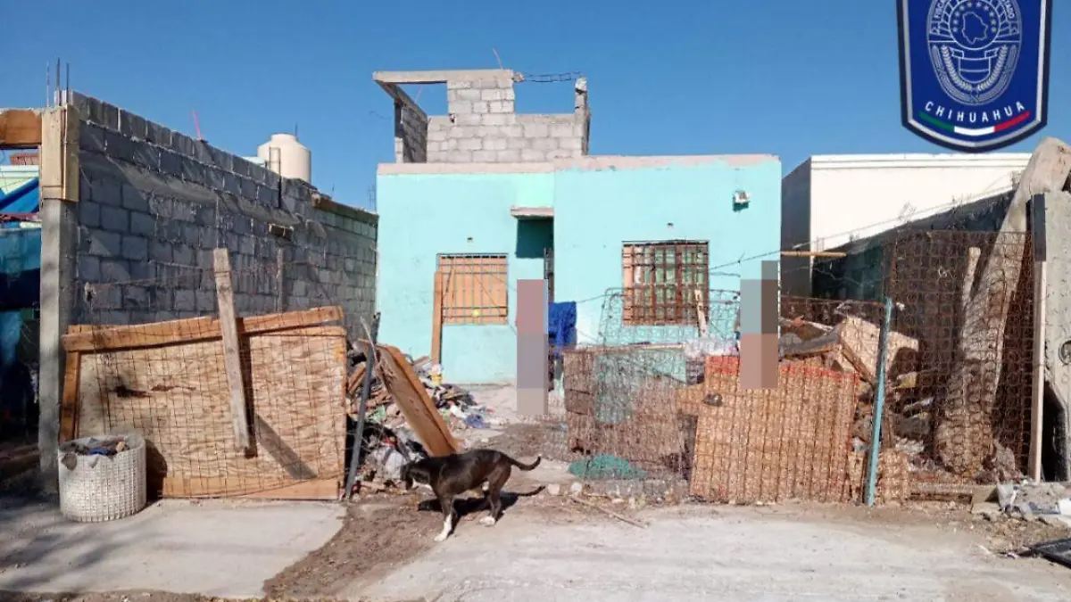 WhatsApp Image 2024-11-19 at 6.59.56 PM (1)