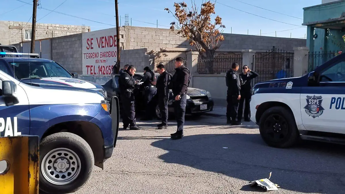 WhatsApp Image 2024-11-29 at 4.36.13 PM