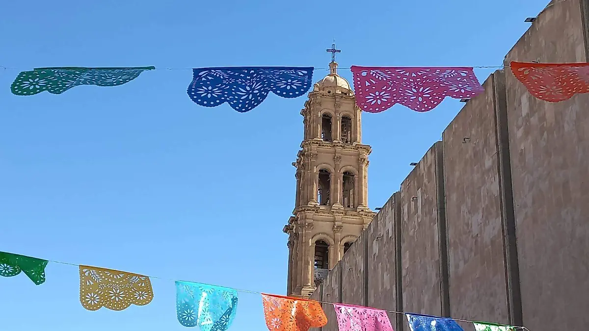 WhatsApp Image 2024-11-24 at 8.17.40 AM (1)