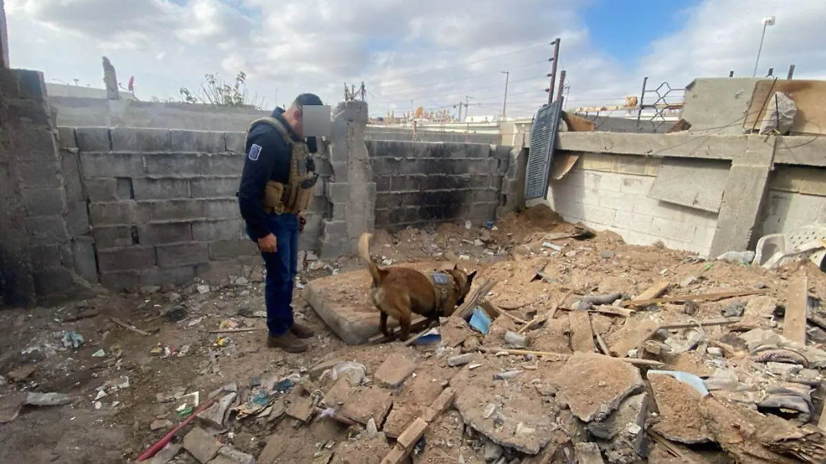 WhatsApp Image 2024-12-03 at 7.28.02 PM