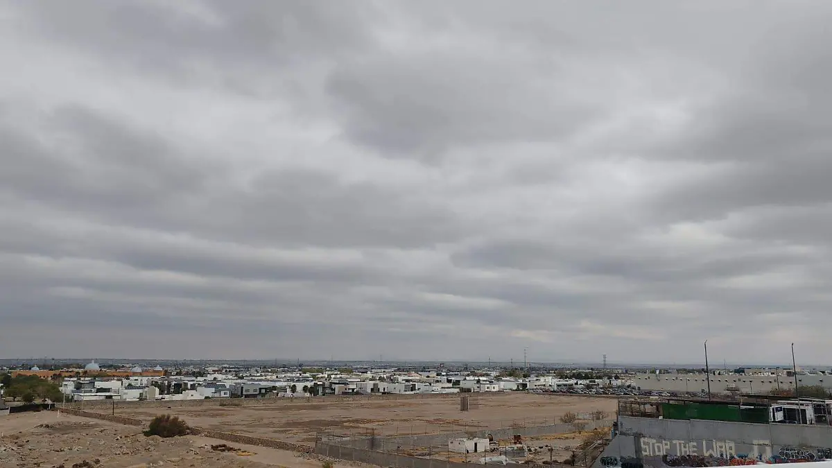 WhatsApp Image 2024-12-06 at 09.05.22