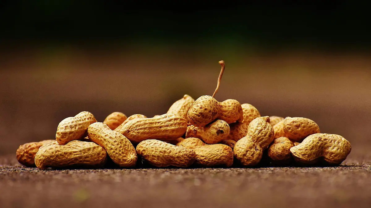 Alimentos con proteína