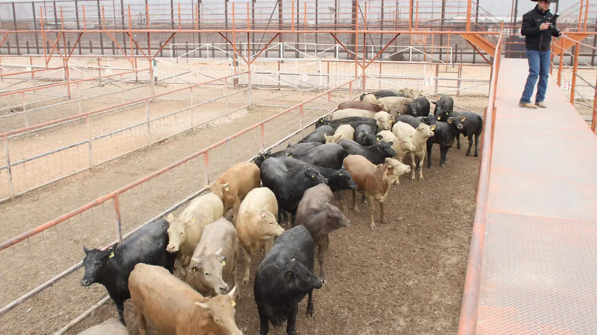 Instalaciones de la Cuarentenaria, en Ciudad Juárez