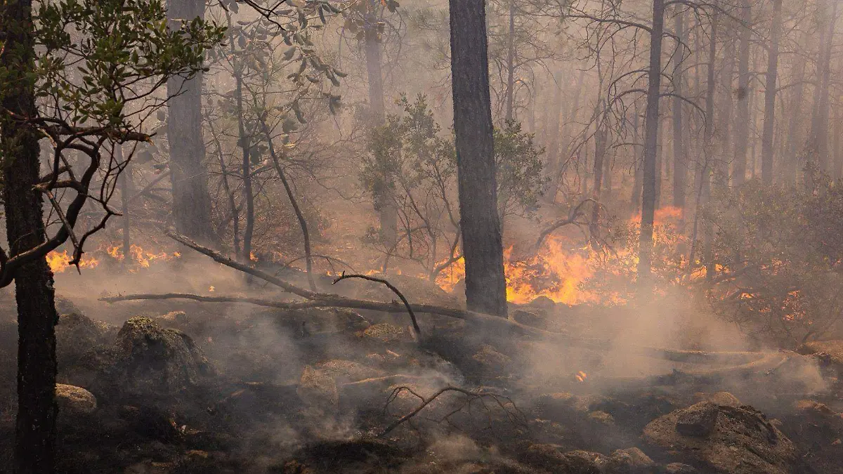 incendios forestales cepc2