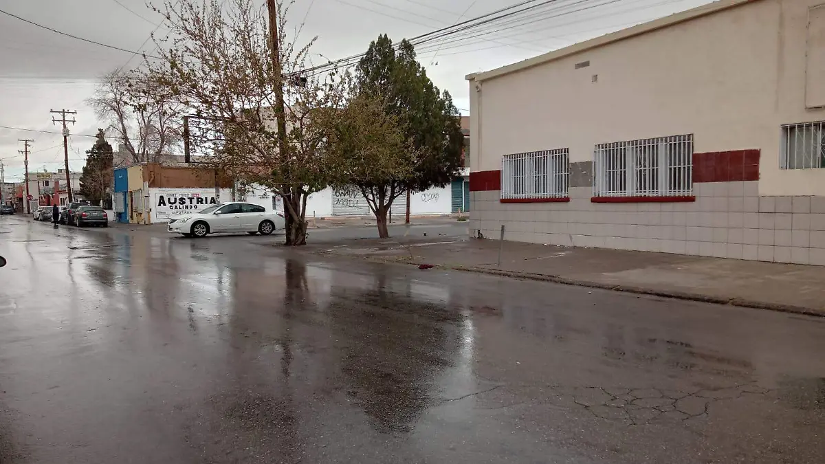 15 mz Lluvia