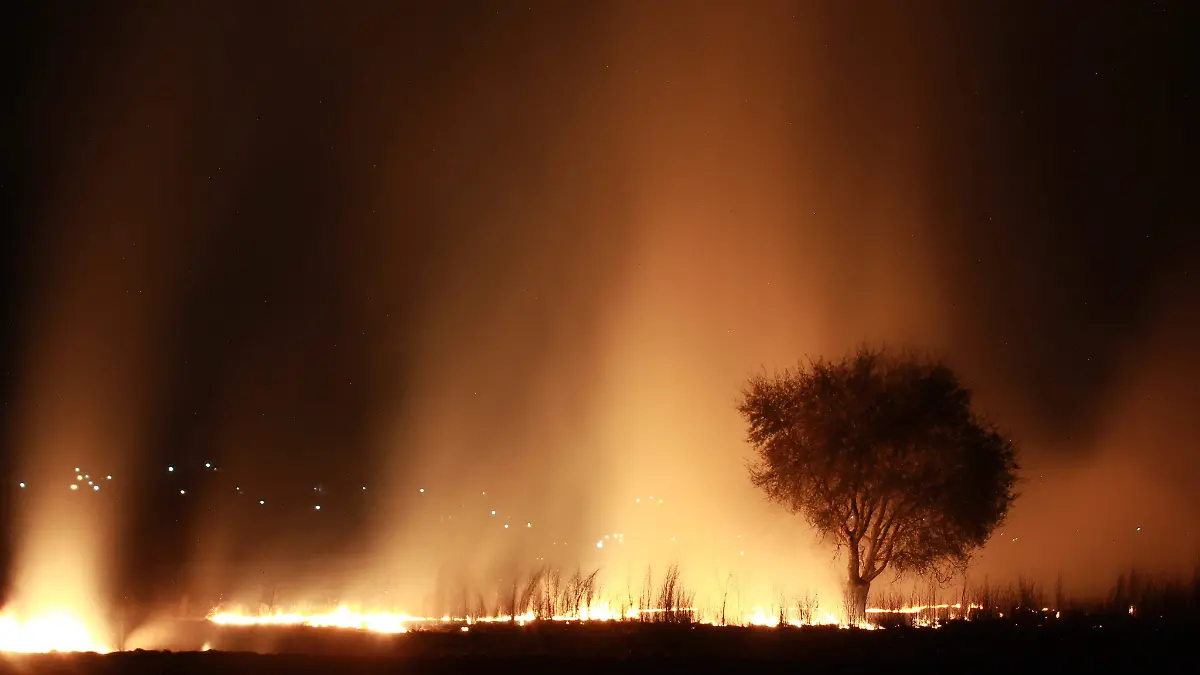incendios forestales especial CONAFOR2