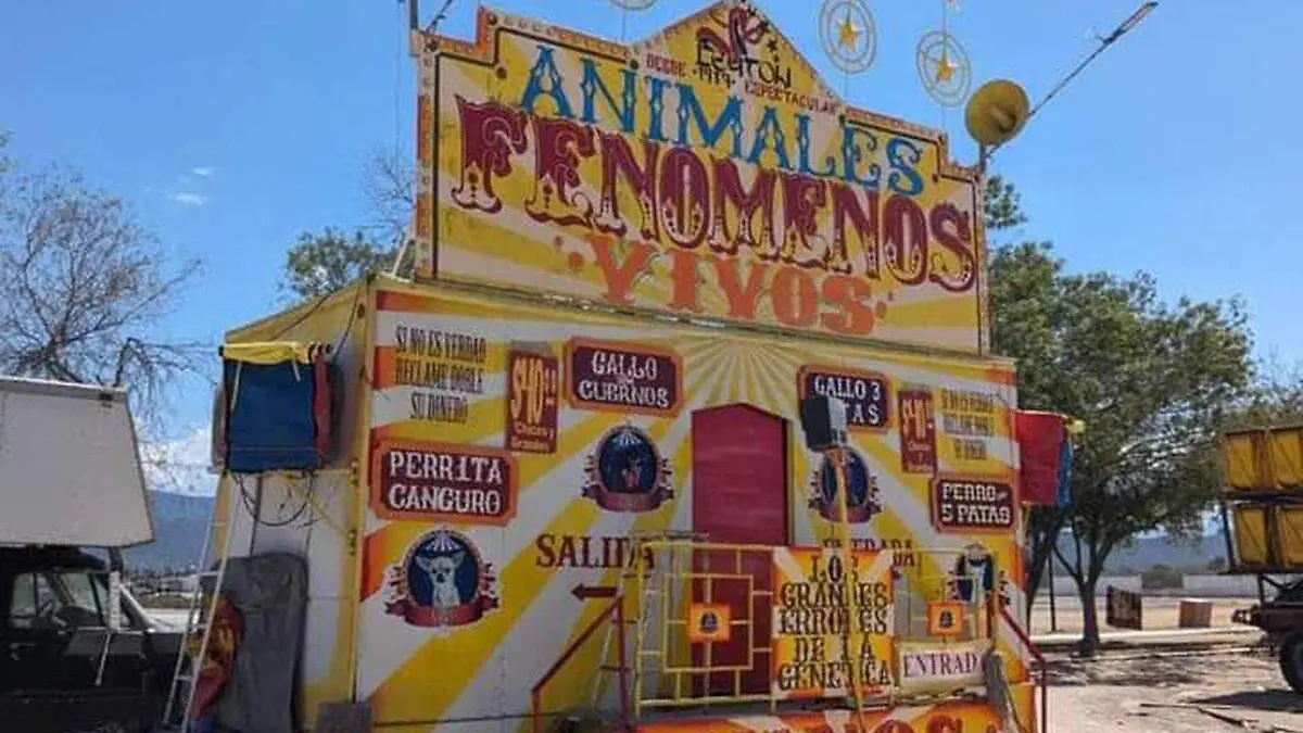Circo-animales3