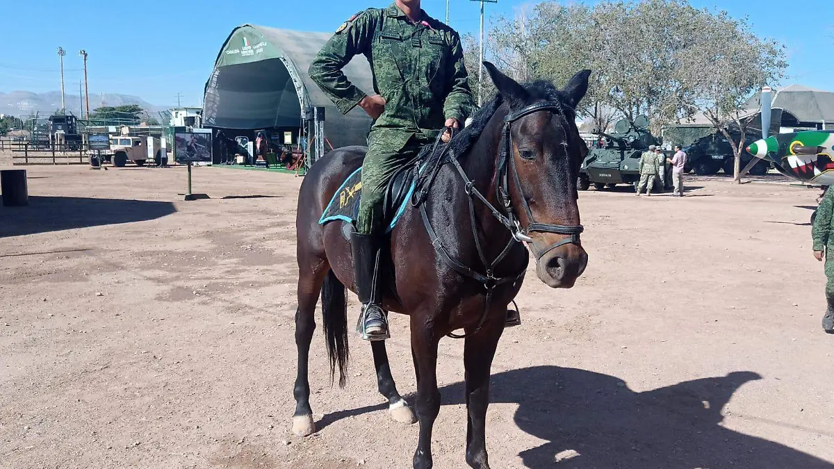LA FUERZA POR MX 2024