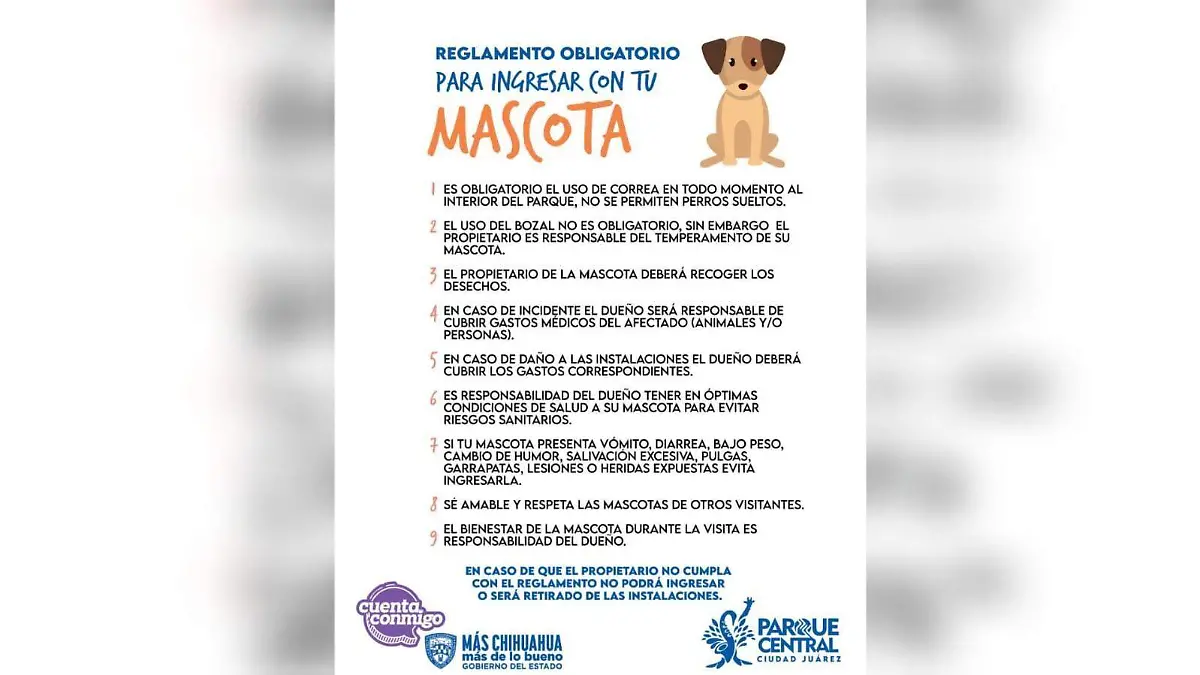 Visita el Parque Central con mascotas