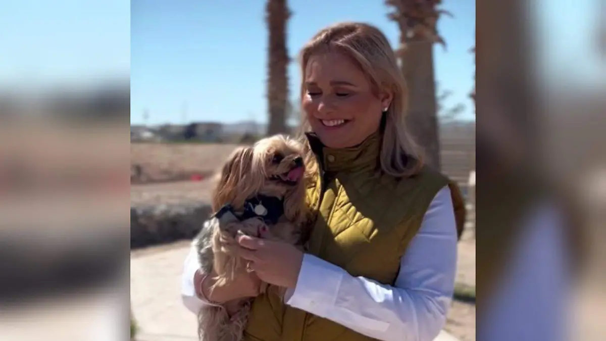 Visita el Parque Central con mascotas