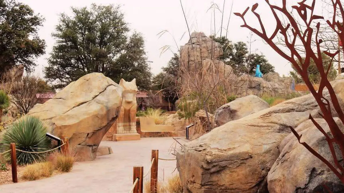 fb El Paso Zoo 4