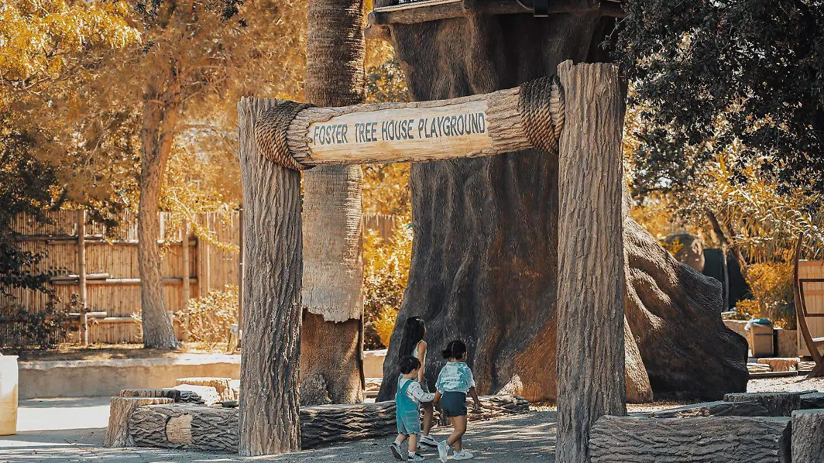 Nace pingüino en el Zoológico de El Paso