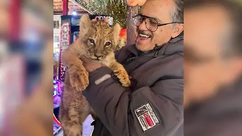 alberto zoo