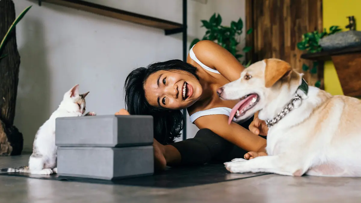 Mascotas huelen el estrés