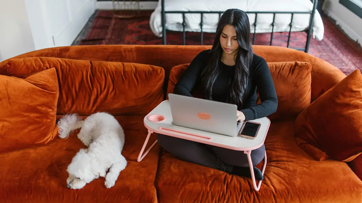 Mascotas huelen el estrés