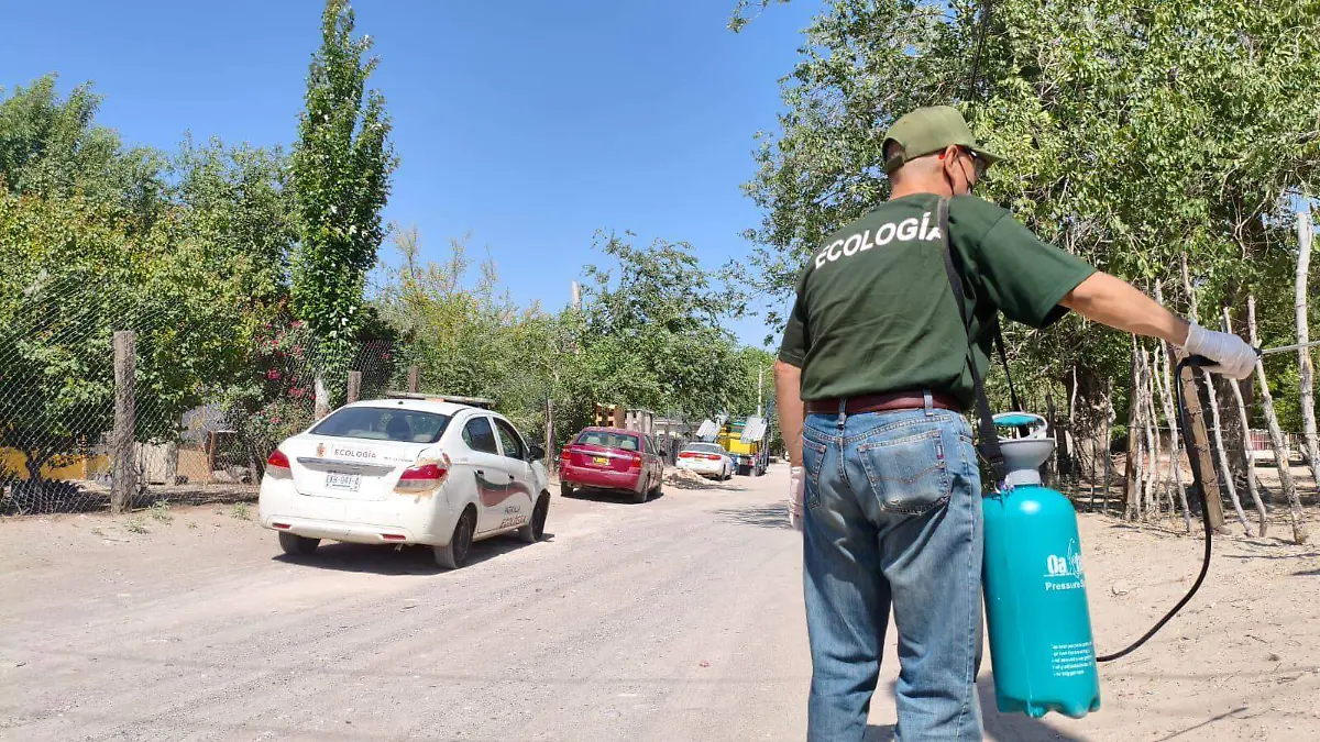 13 jun Ecologia Fumigaciones